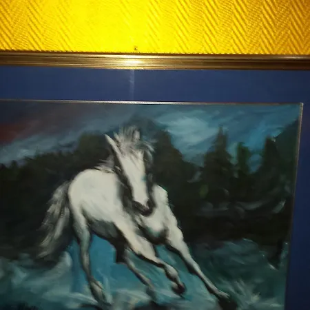 Oda ve Kahvaltı Bed & Breakfast Centrale Bolonya