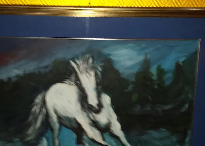 Bed and breakfast Bed & Breakfast Centrale Bolonia